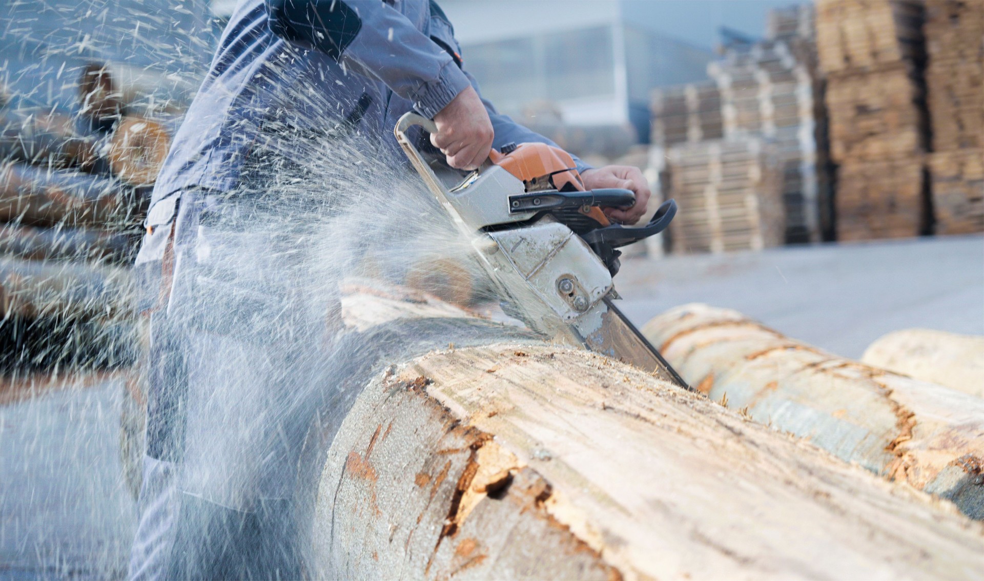 Man using a chainsaw while cutting tree log